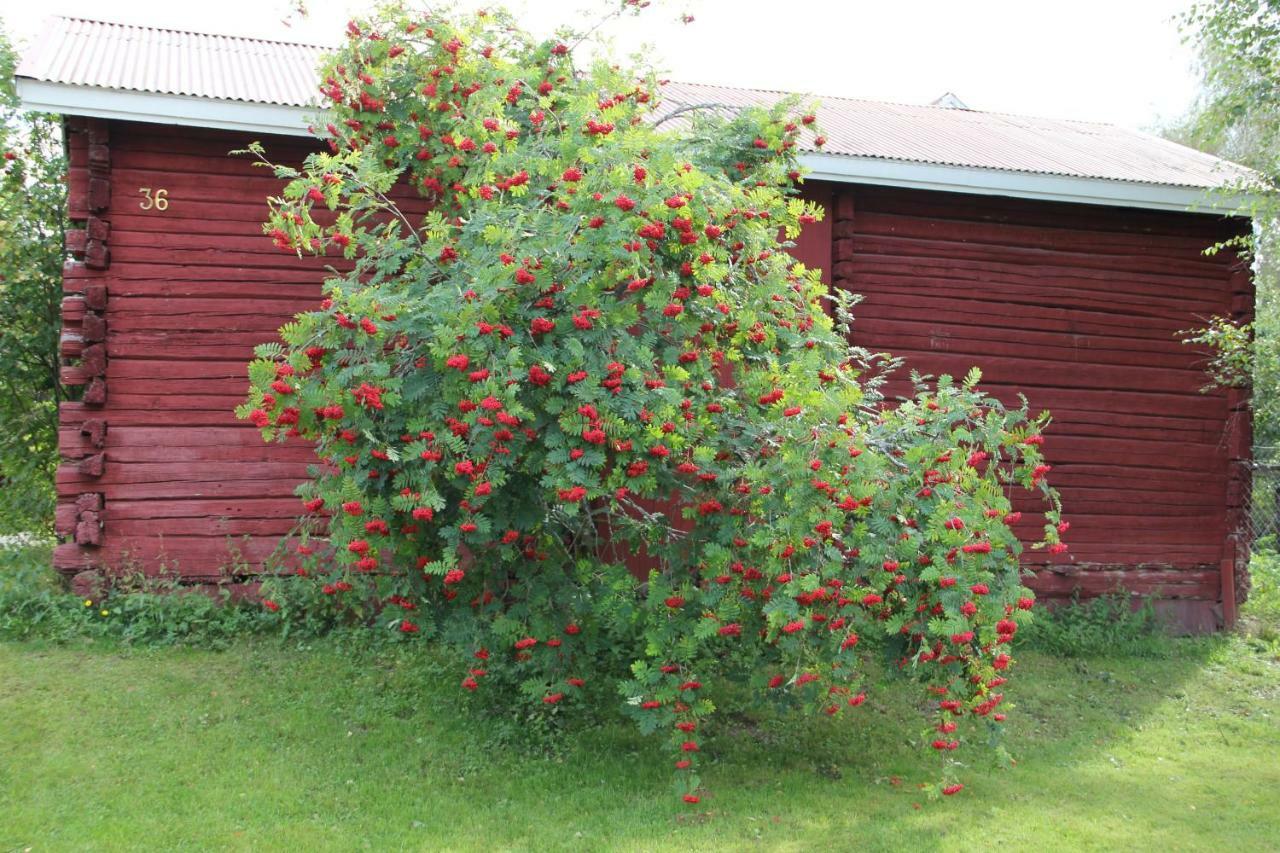 Idyllinen Kaksio Apartment Kankaanpää Exterior foto